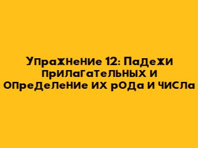 Упражнение 12: Падежи прилагательных и определение их рода и числа