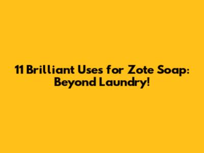 11 Brilliant Uses for Zote Soap: Beyond Laundry!