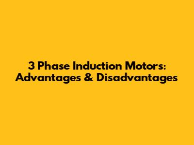 3 Phase Induction Motors: Advantages & Disadvantages