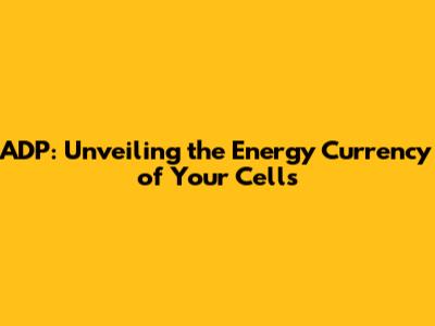 ADP: Unveiling the Energy Currency of Your Cells