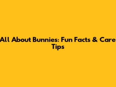 All About Bunnies: Fun Facts & Care Tips