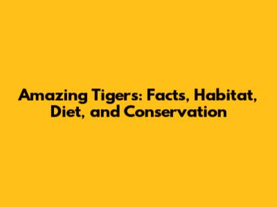 Amazing Tigers: Facts, Habitat, Diet, and Conservation
