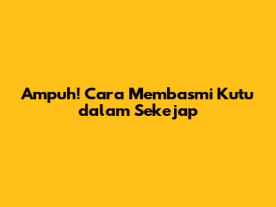 Ampuh! Cara Membasmi Kutu dalam Sekejap