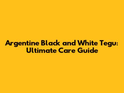 Argentine Black and White Tegu: Ultimate Care Guide