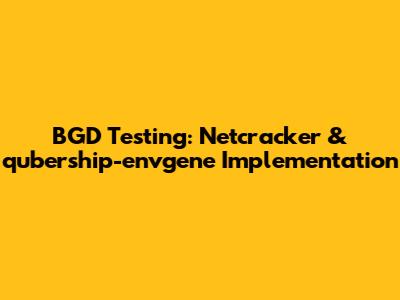 BGD Testing: Netcracker & qubership-envgene Implementation