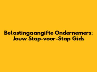 Belastingaangifte Ondernemers: Jouw Stap-voor-Stap Gids