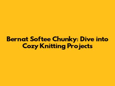 Bernat Softee Chunky: Dive into Cozy Knitting Projects