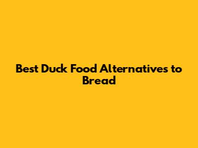 Best Duck Food Alternatives to Bread