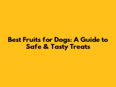 Best Fruits for Dogs: A Guide to Safe & Tasty Treats