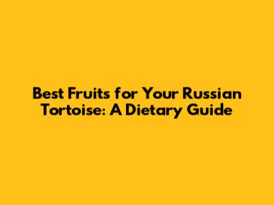 Best Fruits for Your Russian Tortoise: A Dietary Guide