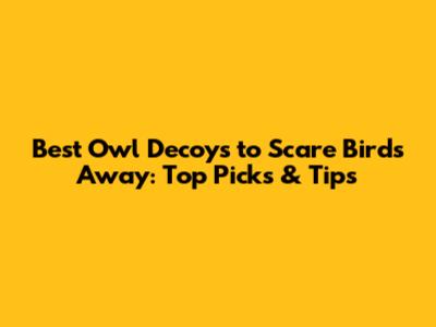 Best Owl Decoys to Scare Birds Away: Top Picks & Tips