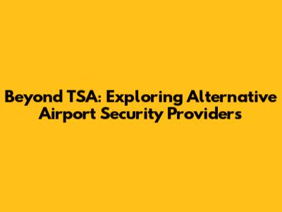 Beyond TSA: Exploring Alternative Airport Security Providers