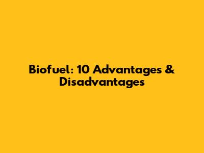 Biofuel: 10 Advantages & Disadvantages