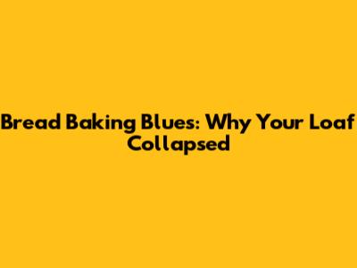 Bread Baking Blues: Why Your Loaf Collapsed