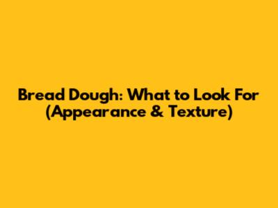 Bread Dough: What to Look For (Appearance & Texture)