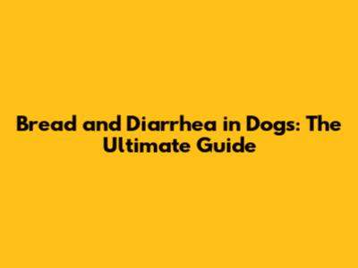 Bread and Diarrhea in Dogs: The Ultimate Guide