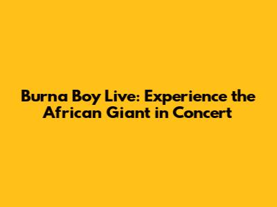 Burna Boy Live: Experience the African Giant in Concert