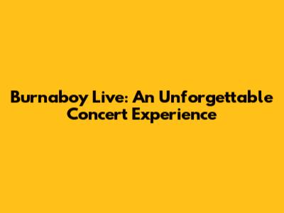 Burnaboy Live: An Unforgettable Concert Experience