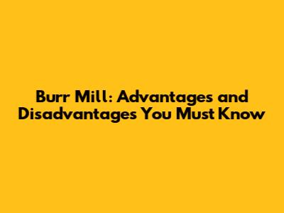 Burr Mill: Advantages and Disadvantages You Must Know