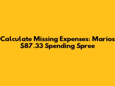 Calculate Missing Expenses: Mario's $87.33 Spending Spree