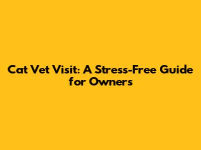 Cat Vet Visit: A Stress-Free Guide for Owners