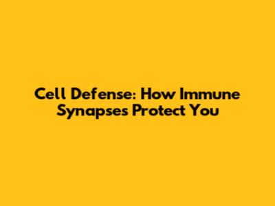 Cell Defense: How Immune Synapses Protect You