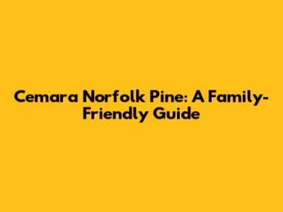 Cemara Norfolk Pine: A Family-Friendly Guide