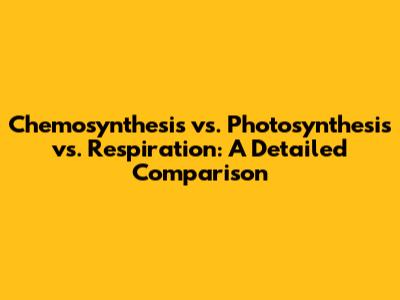 Chemosynthesis vs. Photosynthesis vs. Respiration: A Detailed Comparison