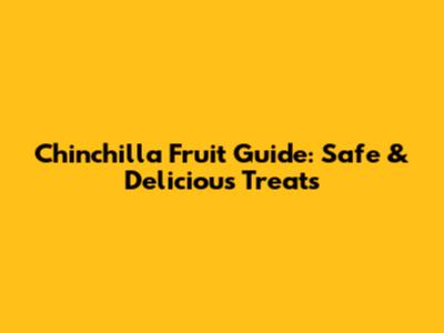 Chinchilla Fruit Guide: Safe & Delicious Treats