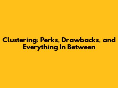 Clustering: Perks, Drawbacks, and Everything In Between