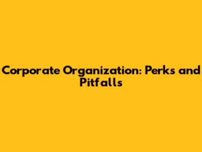 Corporate Organization: Perks and Pitfalls