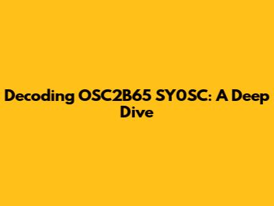 Decoding OSC2B65 SY0SC: A Deep Dive