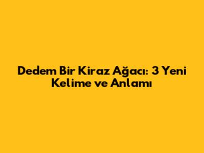 Dedem Bir Kiraz Ağacı: 3 Yeni Kelime ve Anlamı