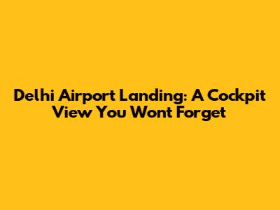 Delhi Airport Landing: A Cockpit View You Won't Forget