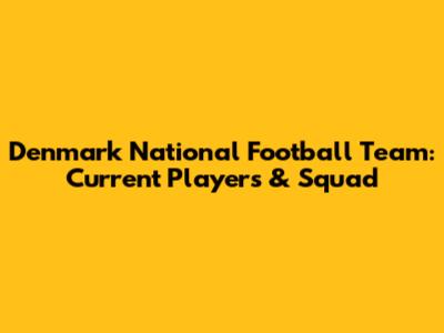 Denmark National Football Team: Current Players & Squad