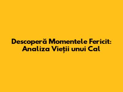 Descoperă Momentele Fericit: Analiza Vieții unui Cal