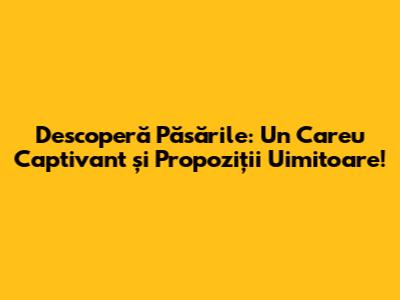 Descoperă Păsările: Un Careu Captivant și Propoziții Uimitoare!