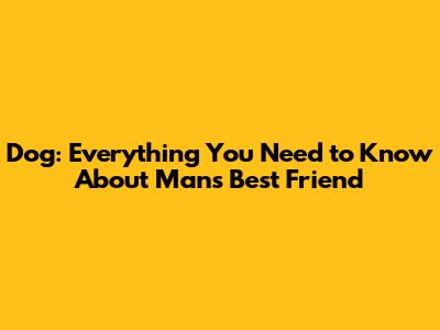 Dog: Everything You Need to Know About Man's Best Friend
