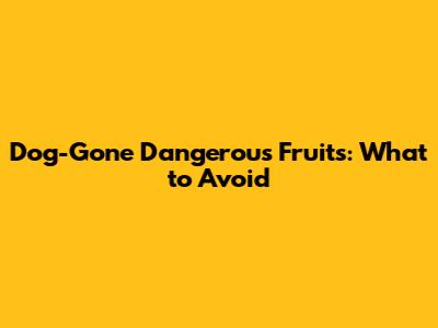Dog-Gone Dangerous Fruits: What to Avoid