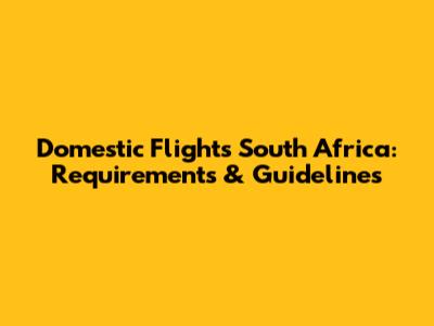 Domestic Flights South Africa: Requirements & Guidelines