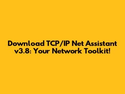 Download TCP/IP Net Assistant v3.8: Your Network Toolkit!