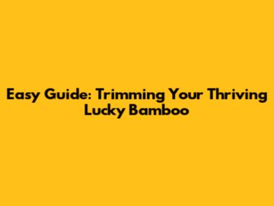 Easy Guide: Trimming Your Thriving Lucky Bamboo