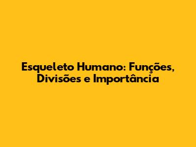 Esqueleto Humano: Funções, Divisões e Importância