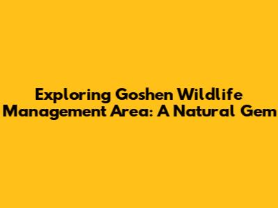 Exploring Goshen Wildlife Management Area: A Natural Gem