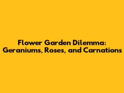 Flower Garden Dilemma: Geraniums, Roses, and Carnations