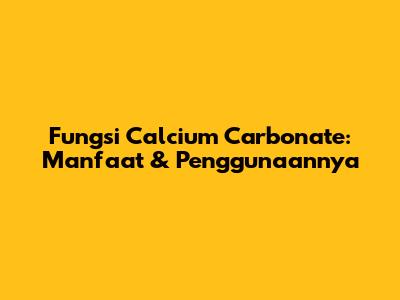 Fungsi Calcium Carbonate: Manfaat & Penggunaannya