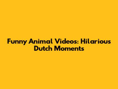 Funny Animal Videos: Hilarious Dutch Moments