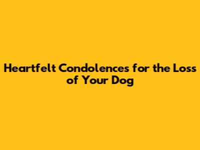 Heartfelt Condolences for the Loss of Your Dog