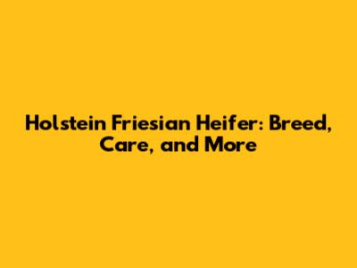 Holstein Friesian Heifer: Breed, Care, and More