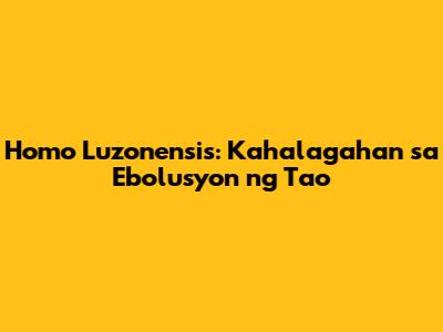 Homo Luzonensis: Kahalagahan sa Ebolusyon ng Tao